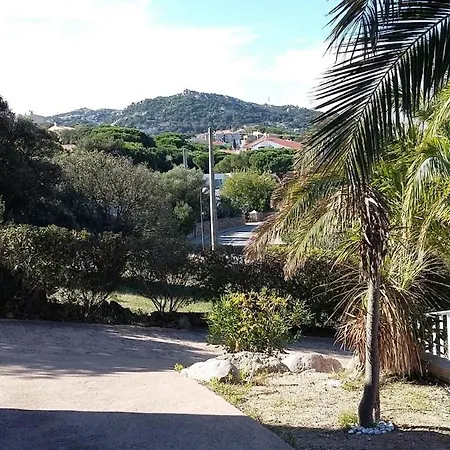 Agreable 2 Pieces Dans Avec Piscine Calvi (Corsica)