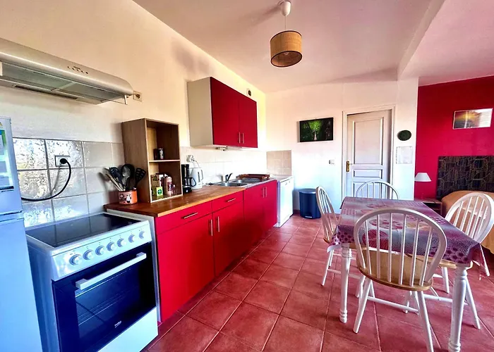 Apartment Agreable 2 Pieces Dans Avec Piscine Calvi (Corsica)